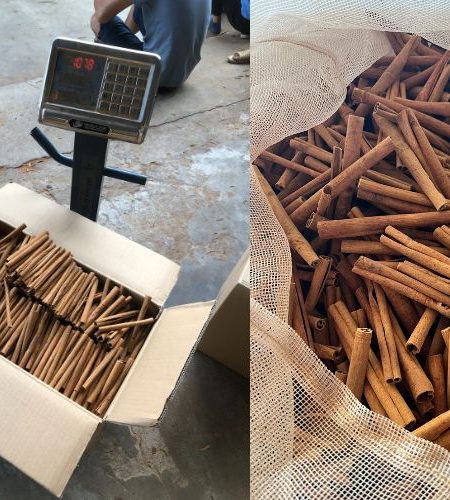 Cinnamon Carton Box Of 10kg Recyfodc285leo4uubn3fm2ql1b0g4bb9qfan1dr7s