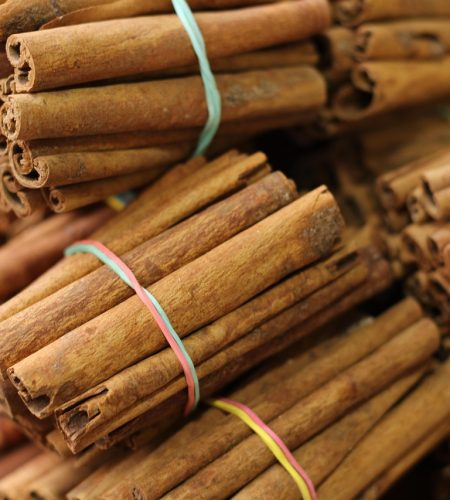 cassia stick